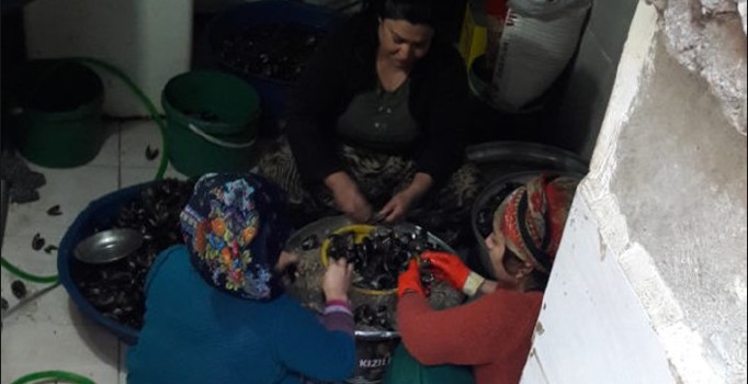 İstanbul'da merdiven altı midye baskını