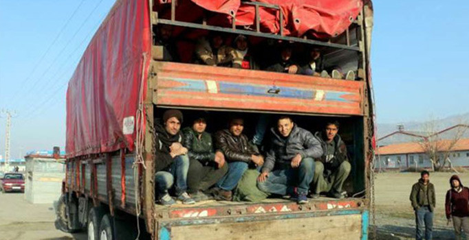 Kamyonun kasasından 177 kaçak çıktı