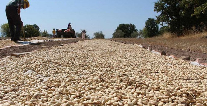 Mehmetçik'e 'fıstıklı' destek