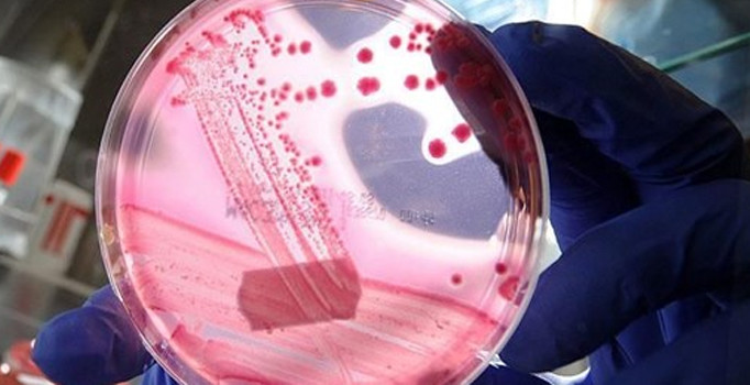 Her 3 kanser vakasından ikisini önlemek mümkün