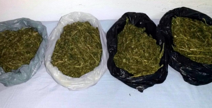 Otomobilde 3,5 kilo esrarla yakalanan 4 kişiye gözaltı