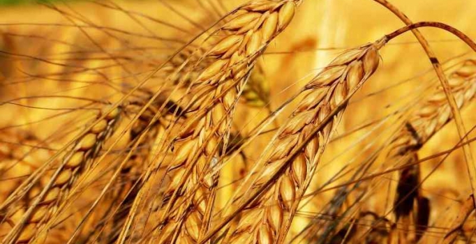 Rusya'dan Türkiye açıklaması: Tüm kısıtlamalar kaldırıldı