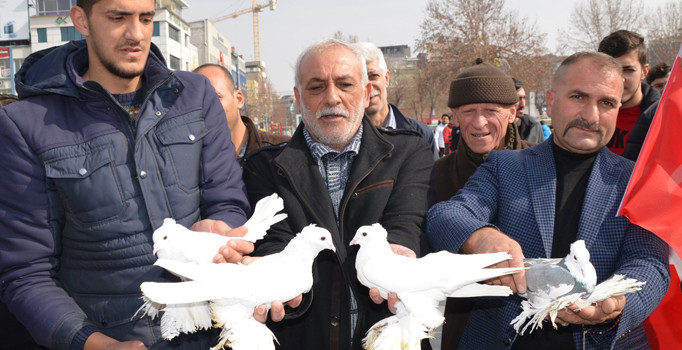 Bin güvercin Mehmetçik için havalandı