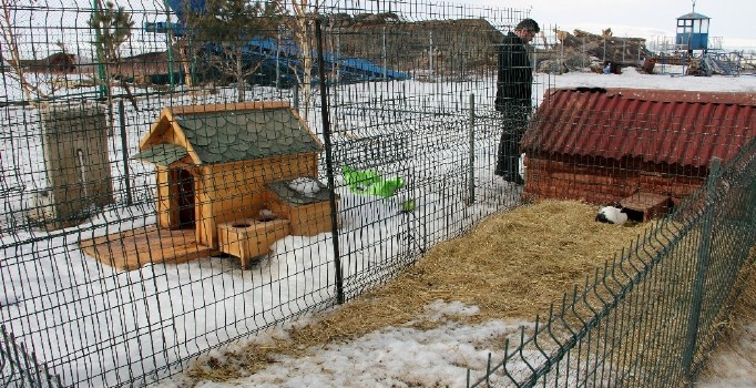 14 Şubat Sevgililer Gününde tavşan almayın