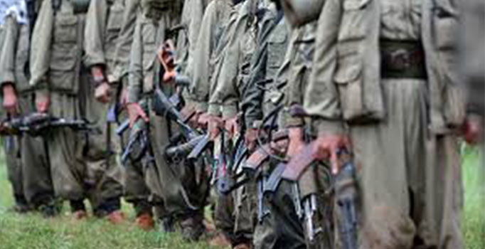 Şemdinli'de bir terörist teslim oldu, bir terörist yakalandı