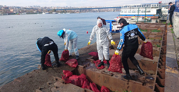 Beyoğlu'nda ele geçirilen 3 ton midye denize döküldü