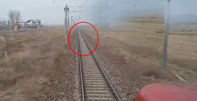 Tren raylarında şaşırtan görüntü! Makinist sabırla bekledi