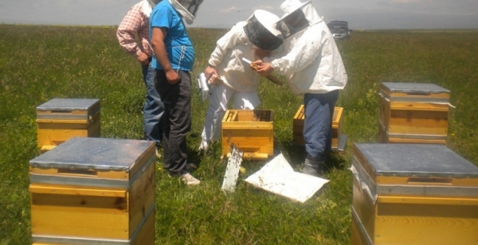 Polislere arıcılık kursu verildi
