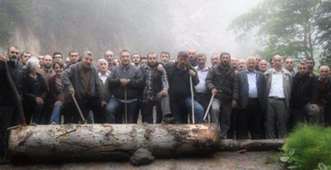 Cerattepe'de barikat için ladin ağaçlarını kestiler