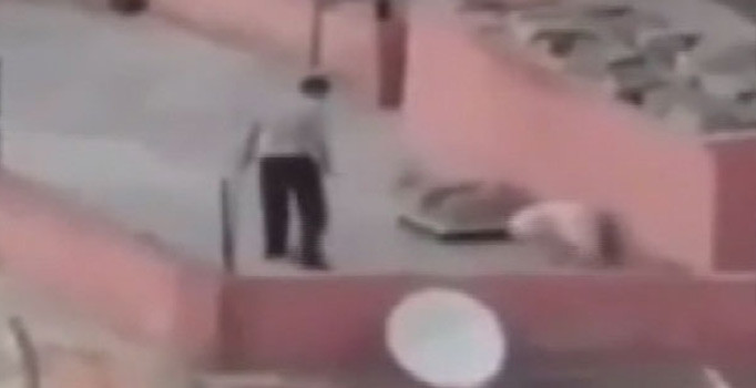 Köpeklerini kemerle döven şahıs gözaltına alındı