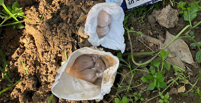 Adana'da uyuşturucu operasyonu