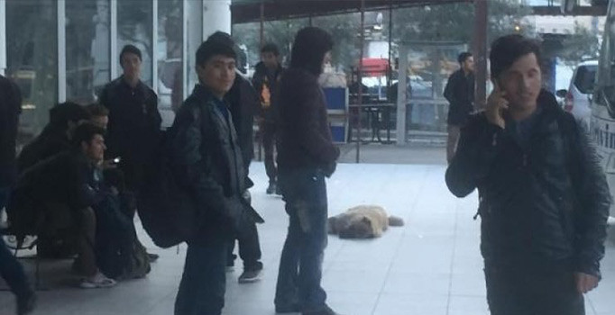 Banker Bilo filmi gerçek oldu: İstanbul diye Artvin'e getirdiler