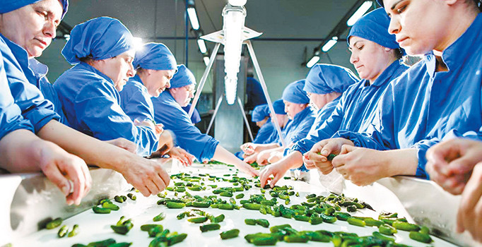 İç payasada zayıflayan sipariş ihracatta güçlü