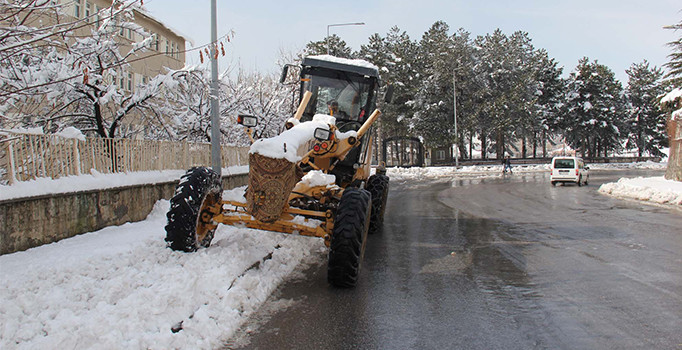 Bitlis'te kar yağışı hayatı durdurdu