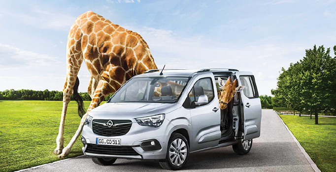 Hafif ticaretin üçüzleri