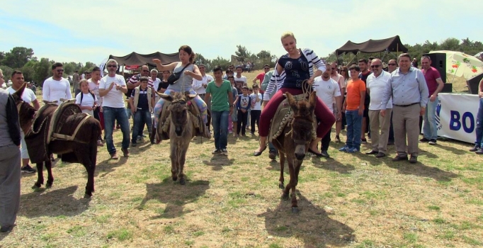 Pedasa Festivali'nde eşeğe binip, kuyudan su çektiler