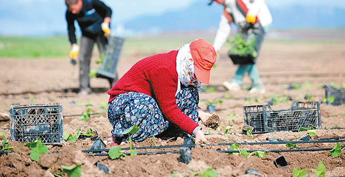 Çiftçinin mazot desteği arttı gübre sabit kaldı