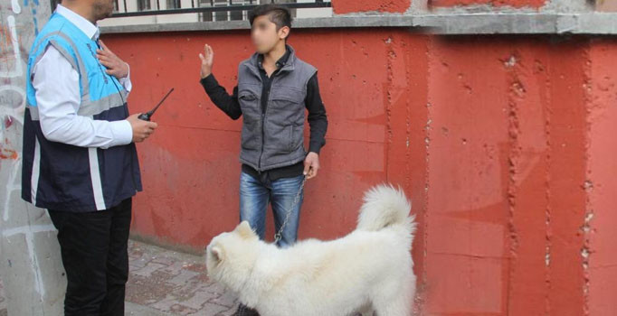 Polis köpeğin kimliğini sordu, gösteremeyince de karakola götürdü