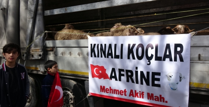 Bursa'dan Mehmetçik'e 80 koç