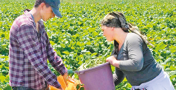 Enflasyonu ekmek çarptı