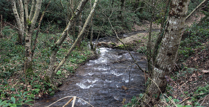 Su kaynaklarının karnesi hazırlanıyor