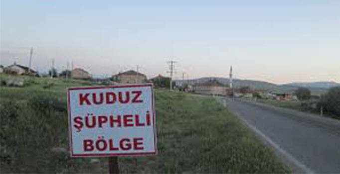 Türkiye'de kuduz alarmı: 3 ilde büyükbaş hayvan ölümleri