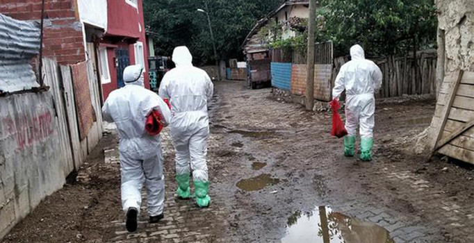 Zonguldak'ta "yalancı tavuk vebası"