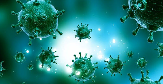 Salgın hızla yayılıyor: Acil eylem planı yapıldı, okullar kapatıldı, halk uyarıldı