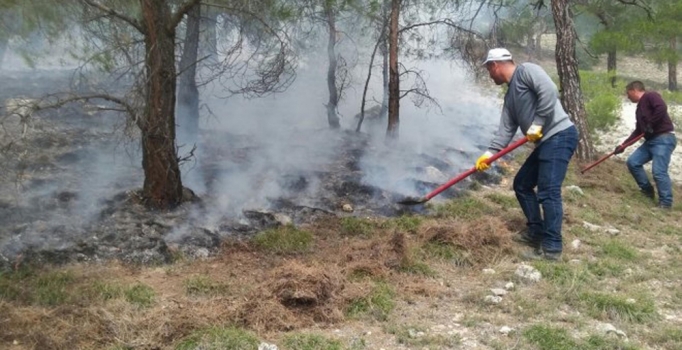 Aydın'daki yangında 1 dönümlük ormanlık alan kül oldu