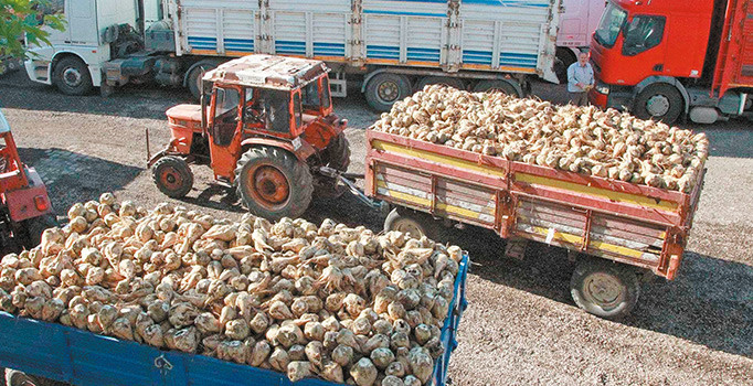 Şekerde hesaplar 5 yıllık