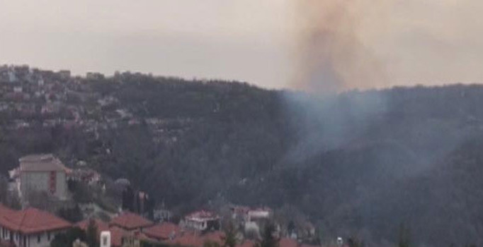 Sarıyer'de korkutan orman yangını