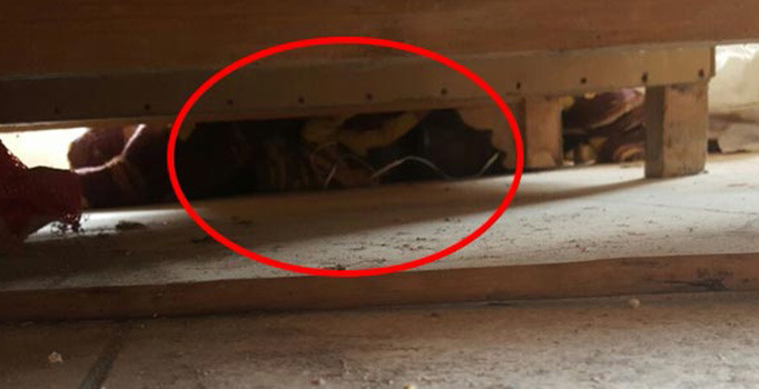 TSK, Afrin'de tuzaklanan çok sayıda patlayıcıları imha ediyor