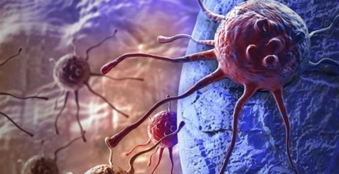 Bilim adamları Ömer Yılmaz ve Semir Beyaz'dan bağırsak kanserinin tedavisinde umut ışığı