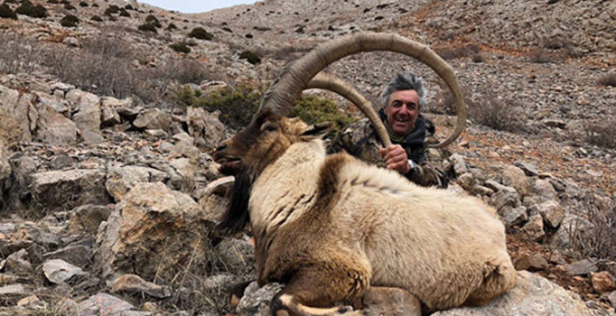 Niğde'de boynuz uzunluğu 120 santimetre olan dağ keçisi avlandı