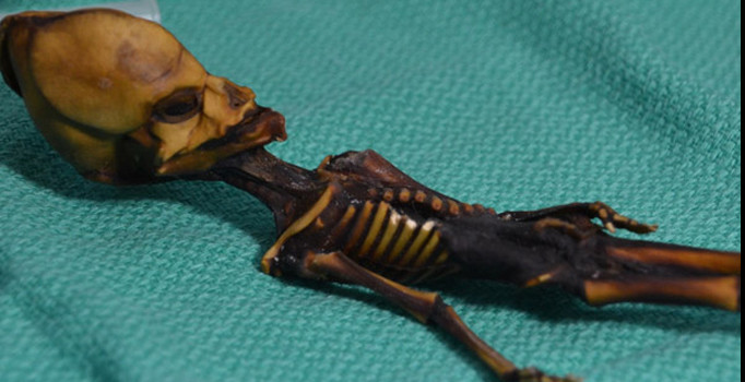 'Uzaylı' sanılan 15 cm'lik mumyanın trajik hikayesi