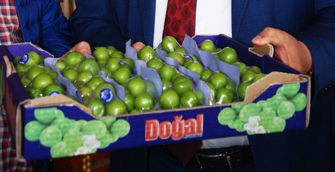 150 liradan tane ile satılan eriğin kilosu 55 liraya düştü