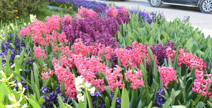 Çorum’a bahar geldi