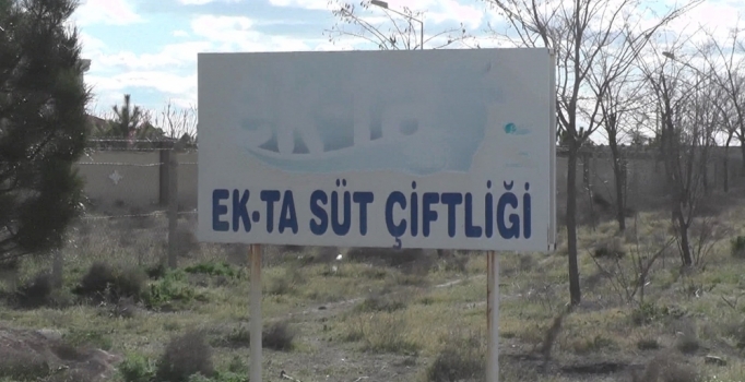 İkinci Çiftlikbank olayı: Sütbank'a para yatırıp paralarını geri alamadılar