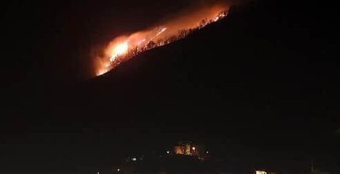 Alınca köyündeki orman yangınına anında müdahale