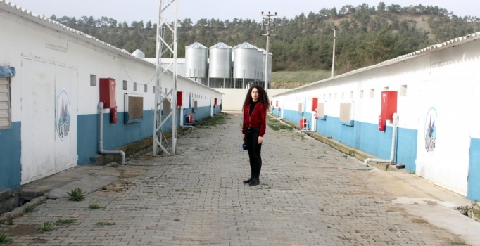 Çiftlik Bank'ın tavukları ve yumurtaları satılıyor