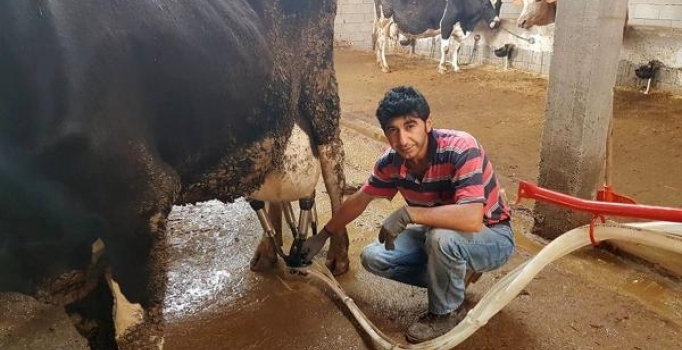 Çiftlik Bank'tan sonra Birlik Beraberlik Çiftliği'ne operasyon: 2 gözaltı