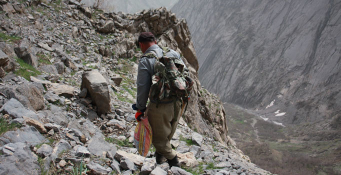 Tam 11 hastalığı yok eden ot için 10 kilometre yürüyorlar