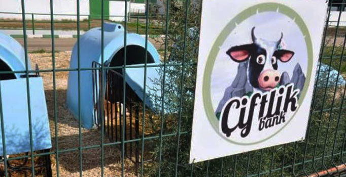 Çiftlik Bank tipi vurgunlar, erken uyarı sistemiyle önlenecek