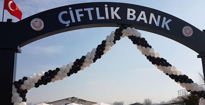 Son dakika! Çiftlik Bank şüphelisinden biri Bugaristan'da diğeri Maltepe'de yakalandı