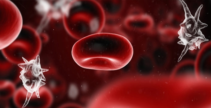 Sepsis hastalığı her 3 saniyede 1 kişiyi öldürüyor