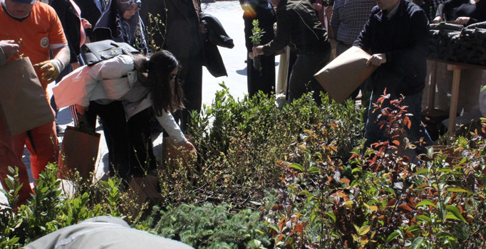 2500 fidan dağıtıldı