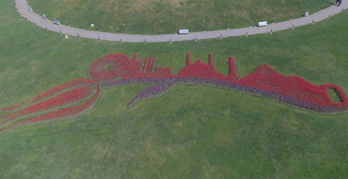 11.’si düzenlenecek olan Sekapark Lale Festivali heyecanı başlıyor