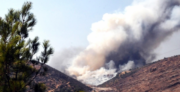 Bodrum'da çöplük yangını