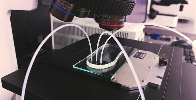 Türk bilim insanı, kanseri kanda teşhis eden cihaz geliştirdi