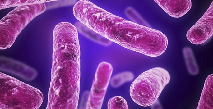 Doğa dostu bakteri keşfedildi